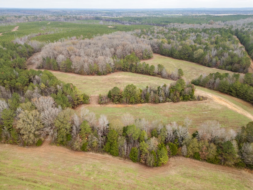 0 Jack Forrester Rd, Mantee, MS 39751 - photo 1