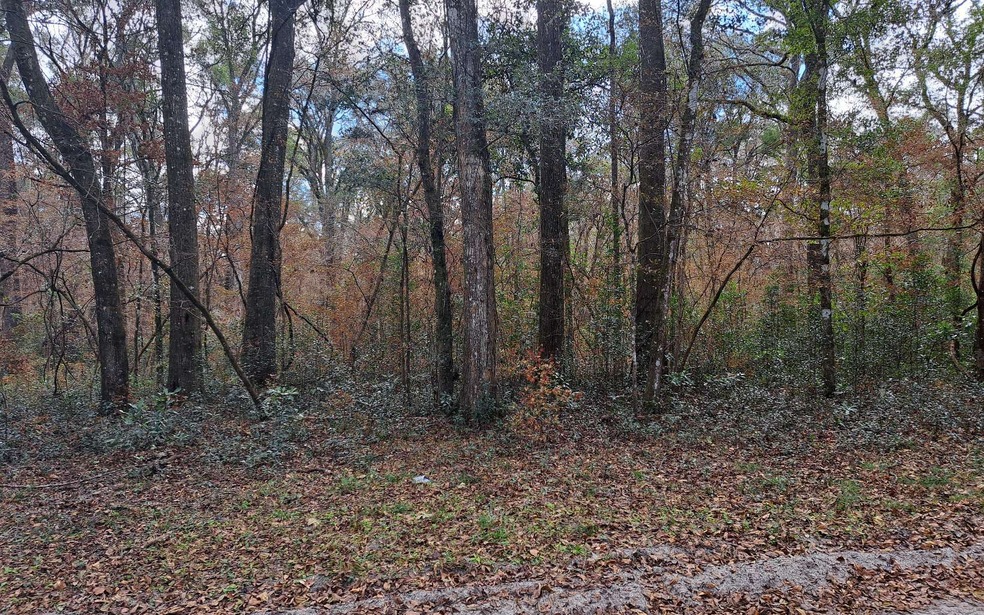 TBD Bumble St, Fort White, FL 32038 - photo 1