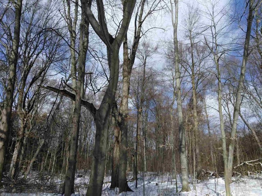 0 N Nichols Rd unit 30064399, Flushing, MI 48433 - photo 1