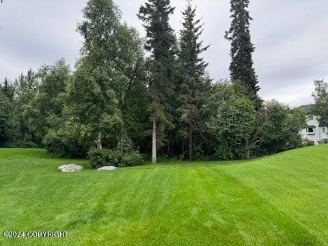 3922 Stargazer Cir, Anchorage, AK 99516 - photo 1