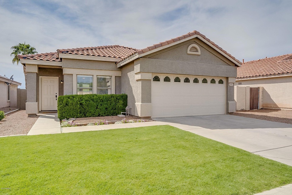 Grass Front Yard