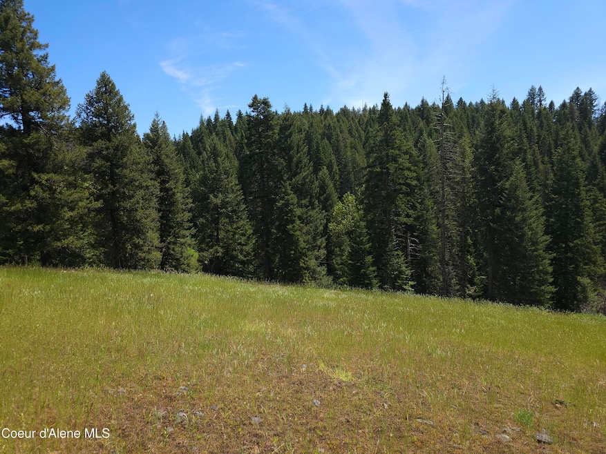 meadow