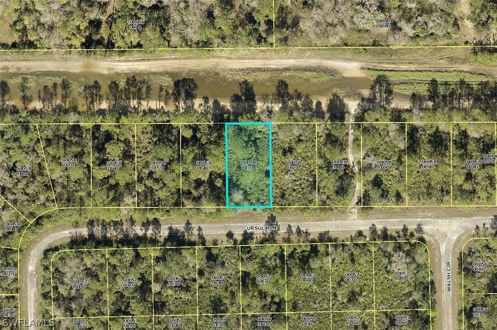 388 Ursula Ln, Lehigh Acres, FL 33972 - photo 1