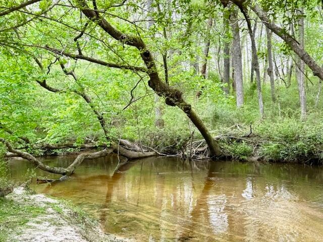 2150 Brown Rd, Hephzibah, GA 30815 - photo 1