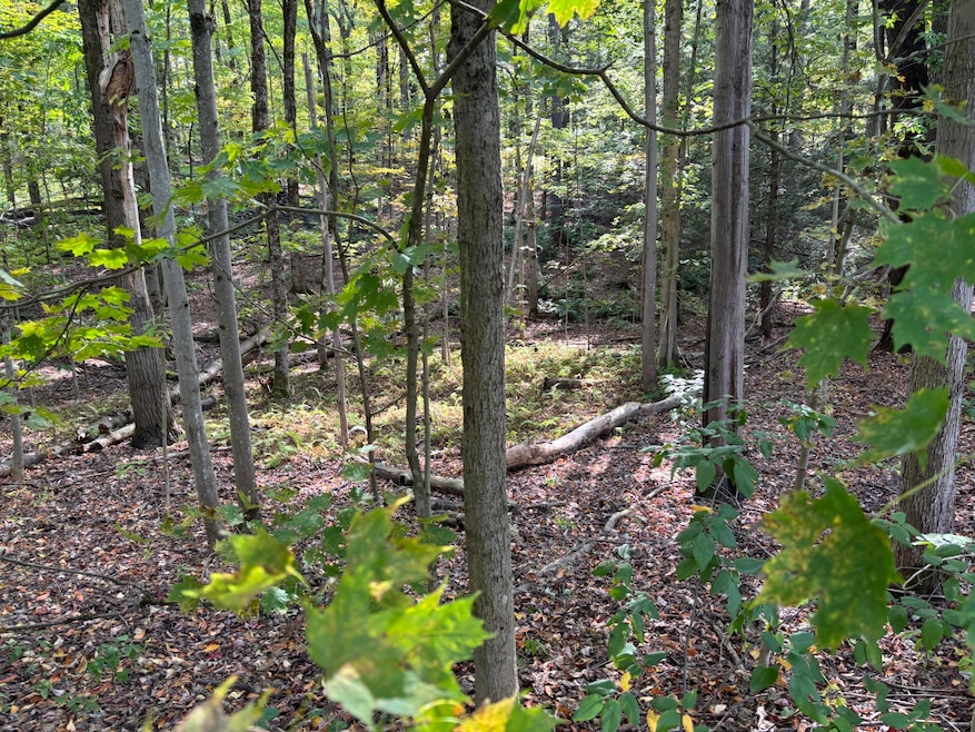 00 Oakview Terrace, Rome, NY 13440 - photo 1