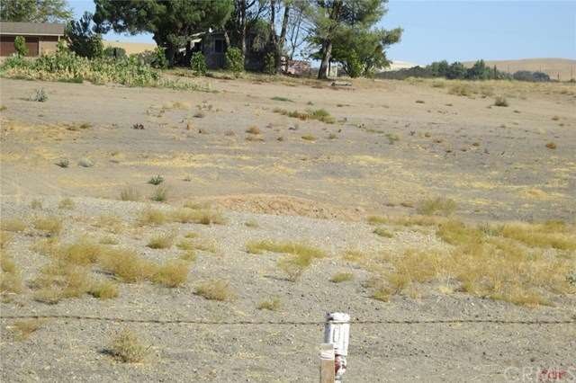 Property Line from this white can to trees