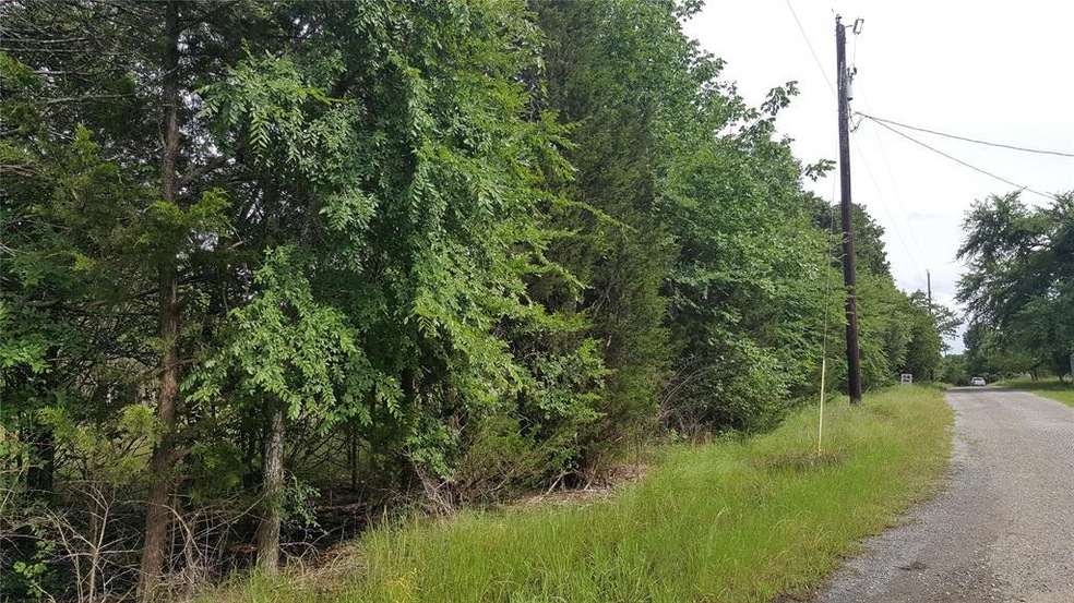 Lot 75 Riner Rd, Pottsboro, TX 75076 - photo 1