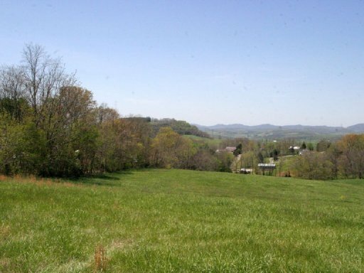 Primary Photo