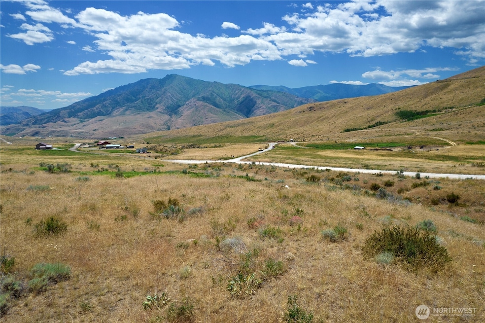 0 Nna Bill Shaw Rd unit NWM2458040, Pateros, WA 98846 - photo 1