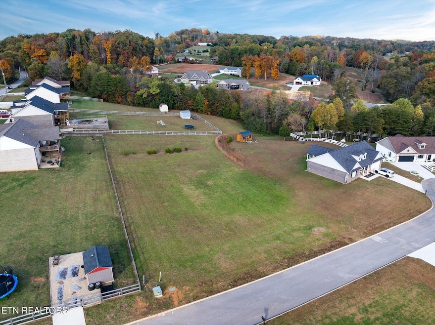 0 Melford Dr, Strawberry Plains, TN 37871 - photo 1