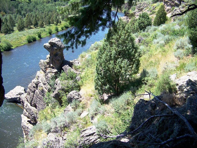 Main View