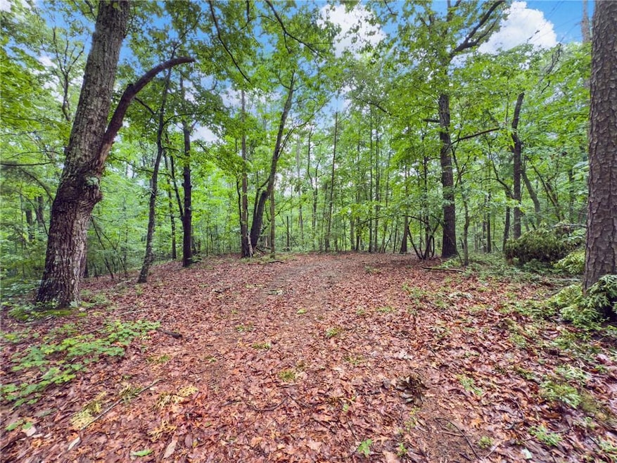 1 Cooper Bridge Rd, Gainesville, GA 30507 - photo 1