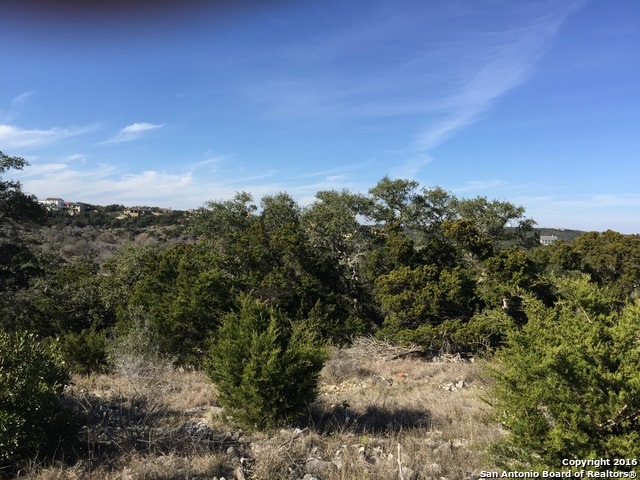 19507 Terra Elm, San Antonio, TX 78255 - photo 1