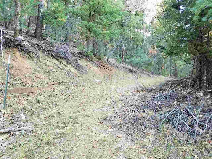 Lot 89 Wimsatt Loop, Cloudcroft, NM 88317 - photo 1