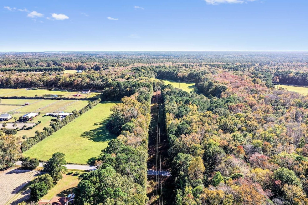 2418 Plow Ground Rd, Johns Island, SC 29455 - photo 1