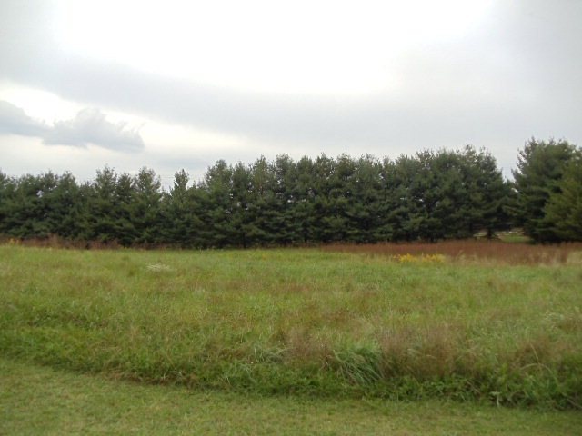 4545 Buck Mountain Rd, Cookeville, TN 38506 - photo 1