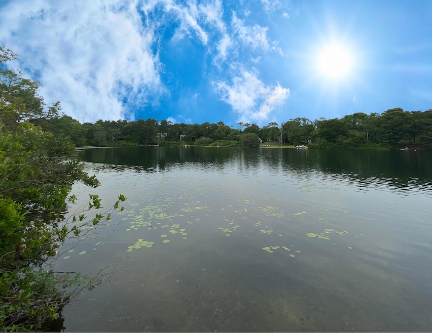 50 Hatch Way - Pond 2