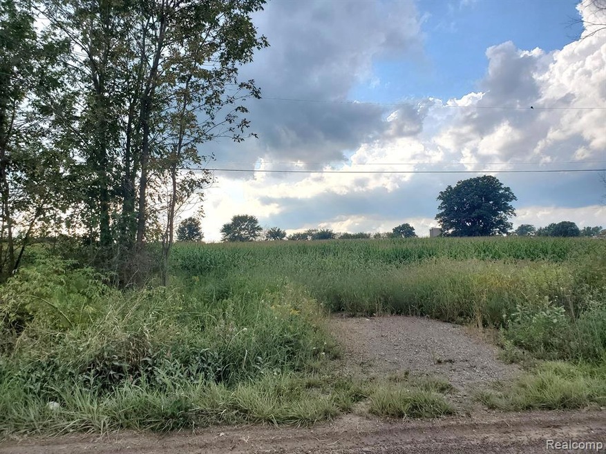 10090 Sharp Rd, Swartz Creek, MI 48473 - photo 1