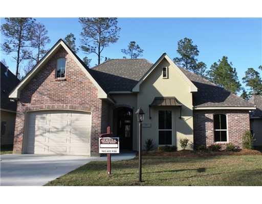 Photo. Home front--quality construction at an AMAZ