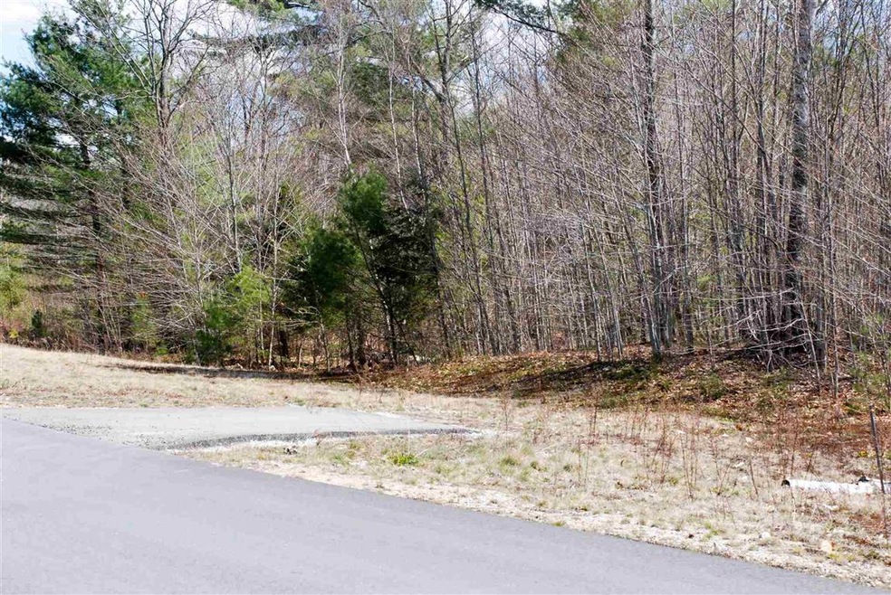 103 Grandview Rd, Conway, NH 03860 - photo 1