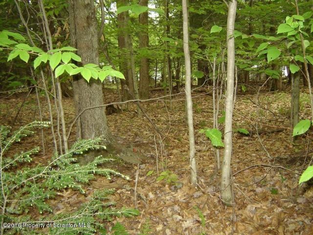 0 Victoria Cir unit GSB162288, Jefferson Township, PA 18436 - photo 1