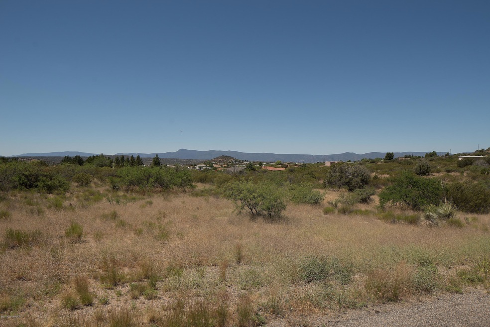 Possible driveway in