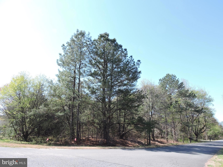 55 Tidewater Dr, Seaford, DE 19973 - photo 1