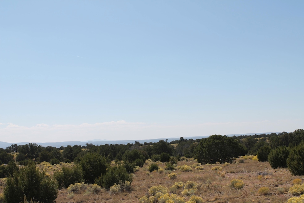 0 Saddleback Cir, Quemado, NM 87829 - photo 1