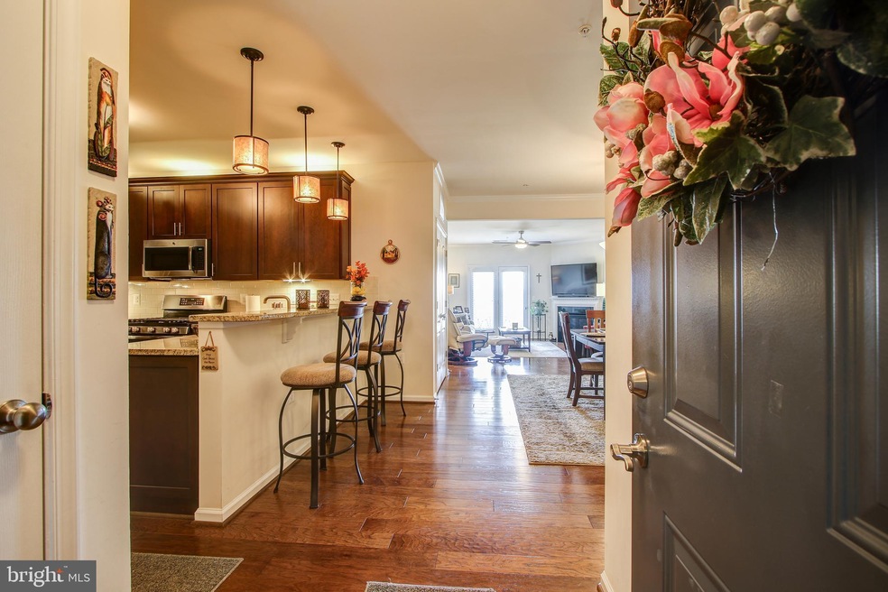 41900 Metamorphic Square unit 302, Aldie, VA 20105 - photo 1