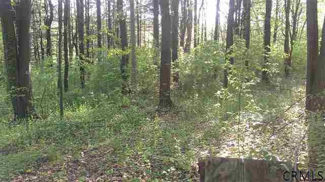 0 Albany Turnpike unit 201319675, Chatham, NY 12136 - photo 1