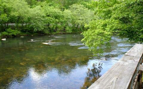 1633 N Toccoa River Rd, Mineral Bluff, GA 30559 - photo 1