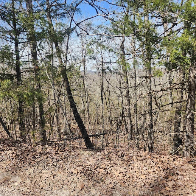 L-6, B-4 Tomahawk Dr, Cherokee Village, AR 72529 - photo 1