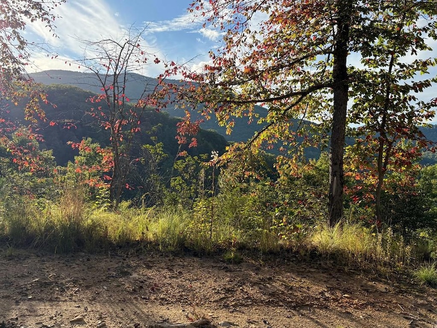 406 Cardinal Bluff Rd, Whittier, NC 28789 - photo 1