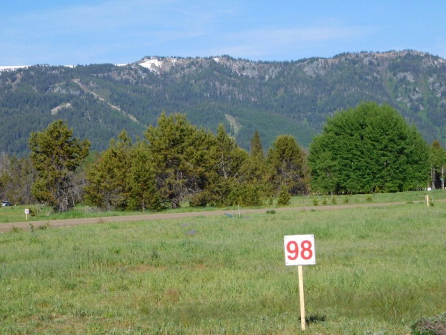 Main View