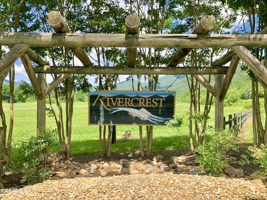 0 River Rapids Way unit 1102136, Del Rio, TN 37727 - photo 1