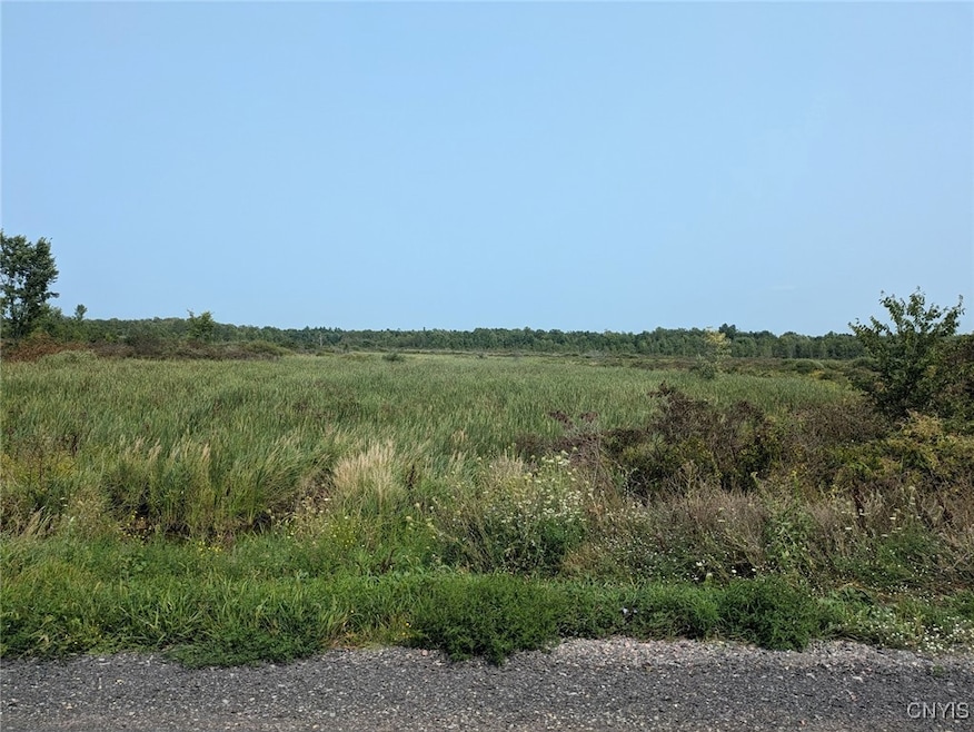 0 Black Creek Rd, Grenell, NY 13624 - photo 1