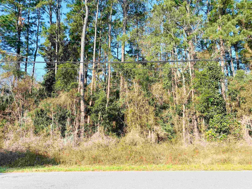 1739 Colonial St unit Colonial Estates, Georgetown, SC 29440 - photo 1