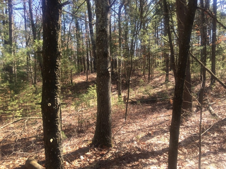 75 High St, Medfield, MA 02052 - photo 1