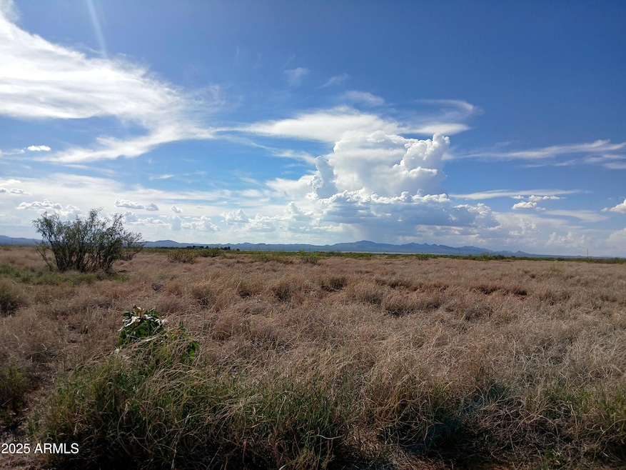 TBD N Ee Ranch Rd unit 1/4, McNeal, AZ 85617 - photo 1
