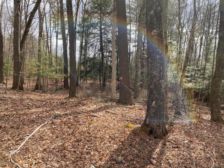 403 & 404 Spring Brook Rd, East Stroudsburg, PA 18302 - photo 1