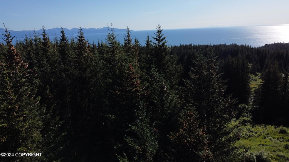 DJI_0888