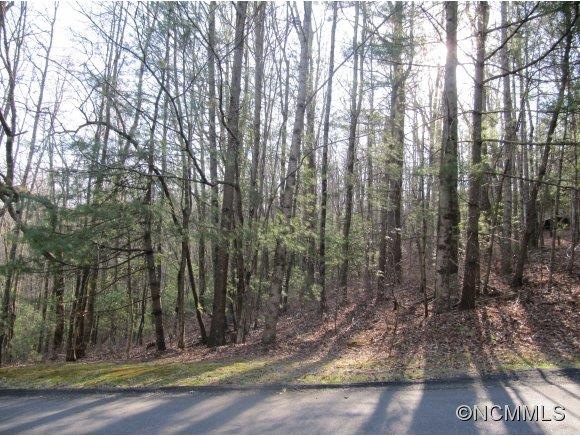 Wooded Lot