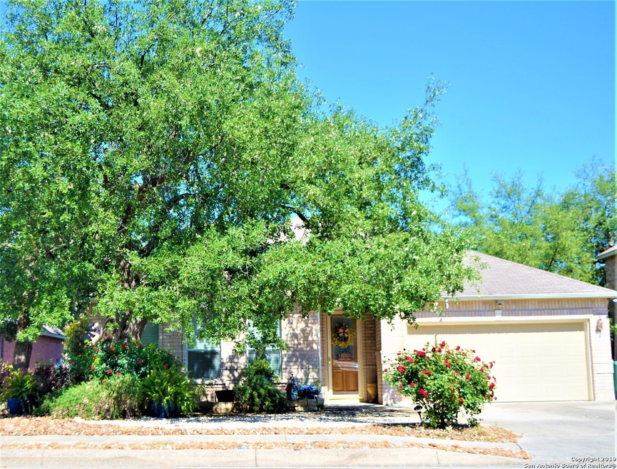 24506 Drew Gap, San Antonio, TX 78255 - photo 1