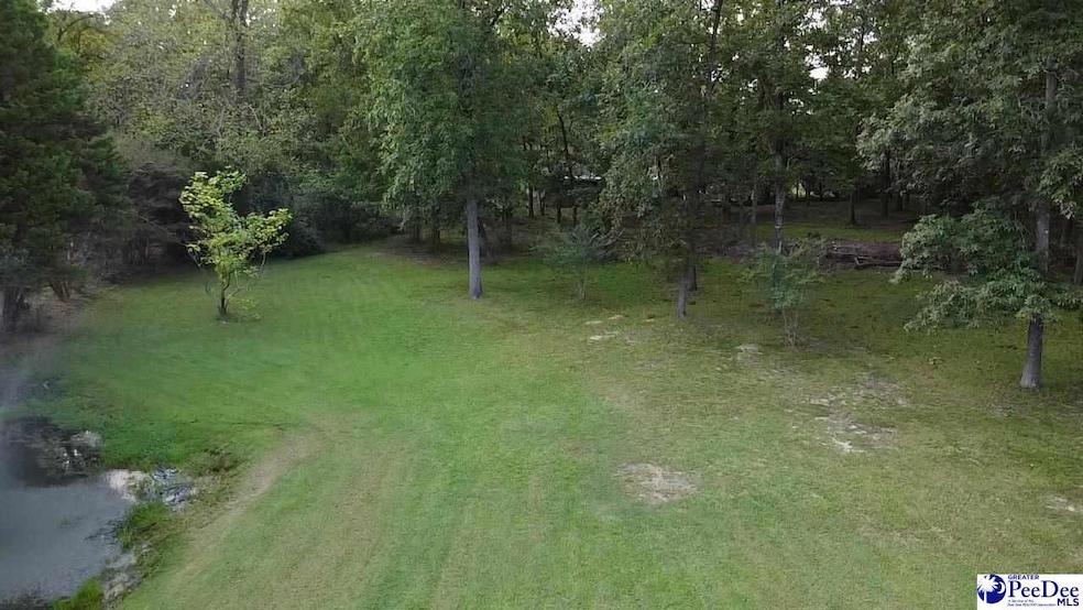 0 State Road S-21-869, Florence, SC 29501 - photo 1