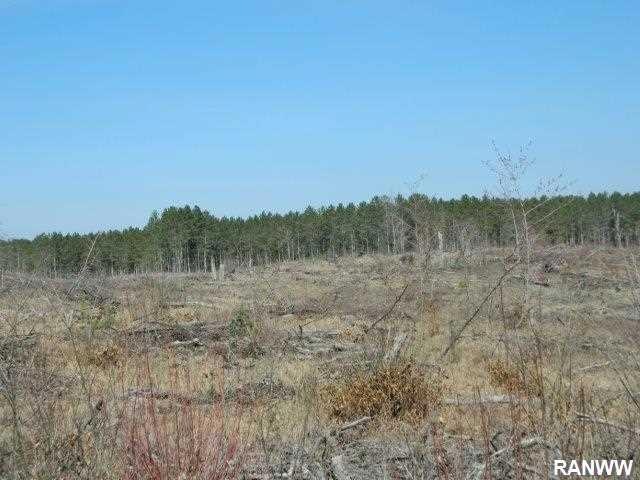 0 French Rd unit 900518, Danbury, WI 54830 - photo 1