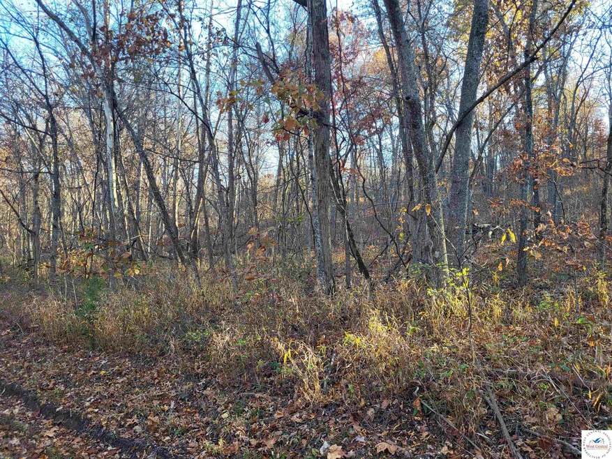 0 Le Grelle Place unit 101836, Edwards, MO 65326 - photo 1