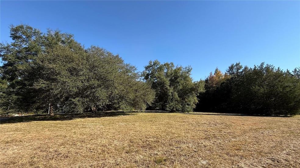 16508 NW 192nd Place, Williston, FL 32696 - photo 1