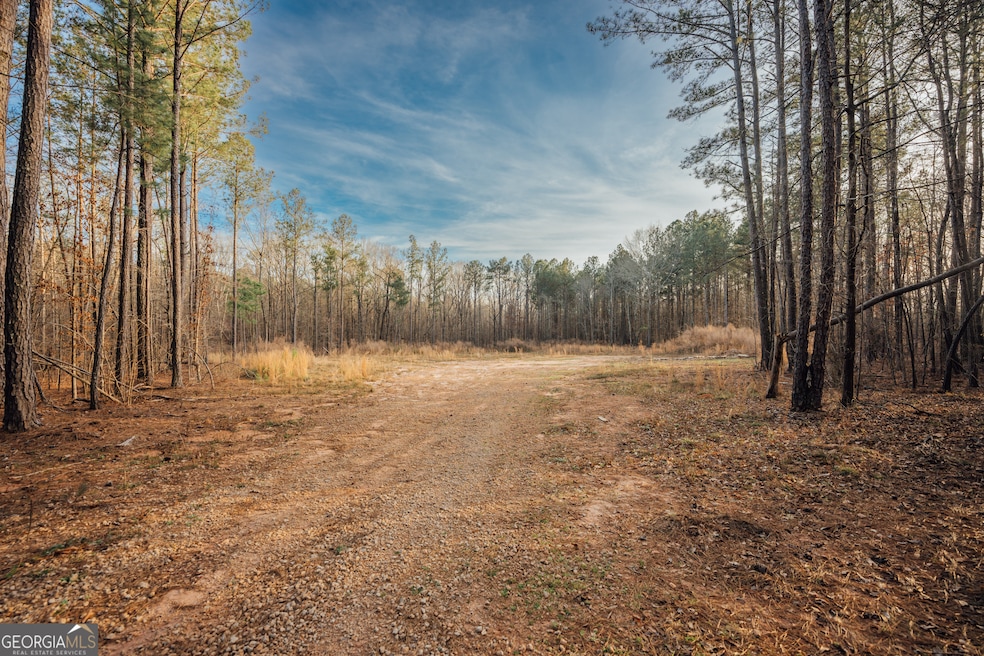 28.61 ACRES Sandy Creek Rd, Madison, GA 30650 - photo 1