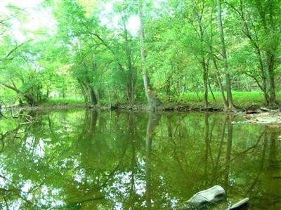 817 Grows Mill Rd, Wilmore, KY 40390 - photo 1