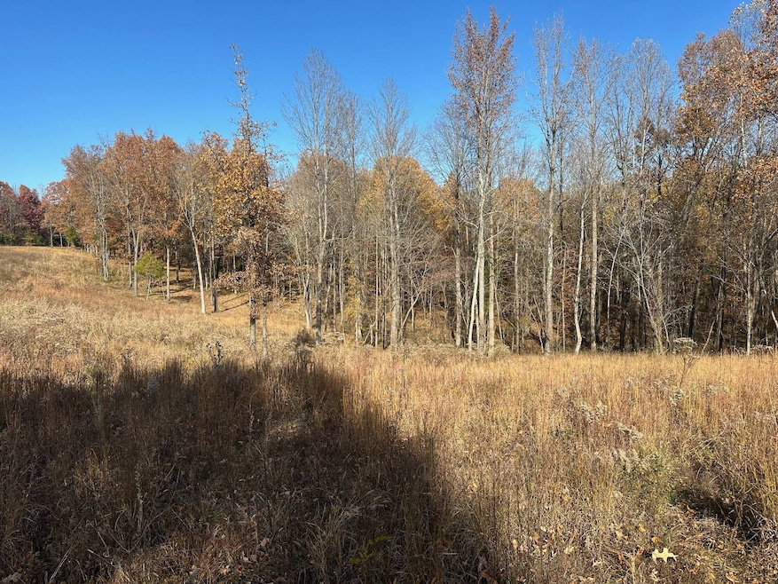 Parcel 086-00-00-027 001 Morgan Rickard Ln, Central City, KY 42330 - photo 1